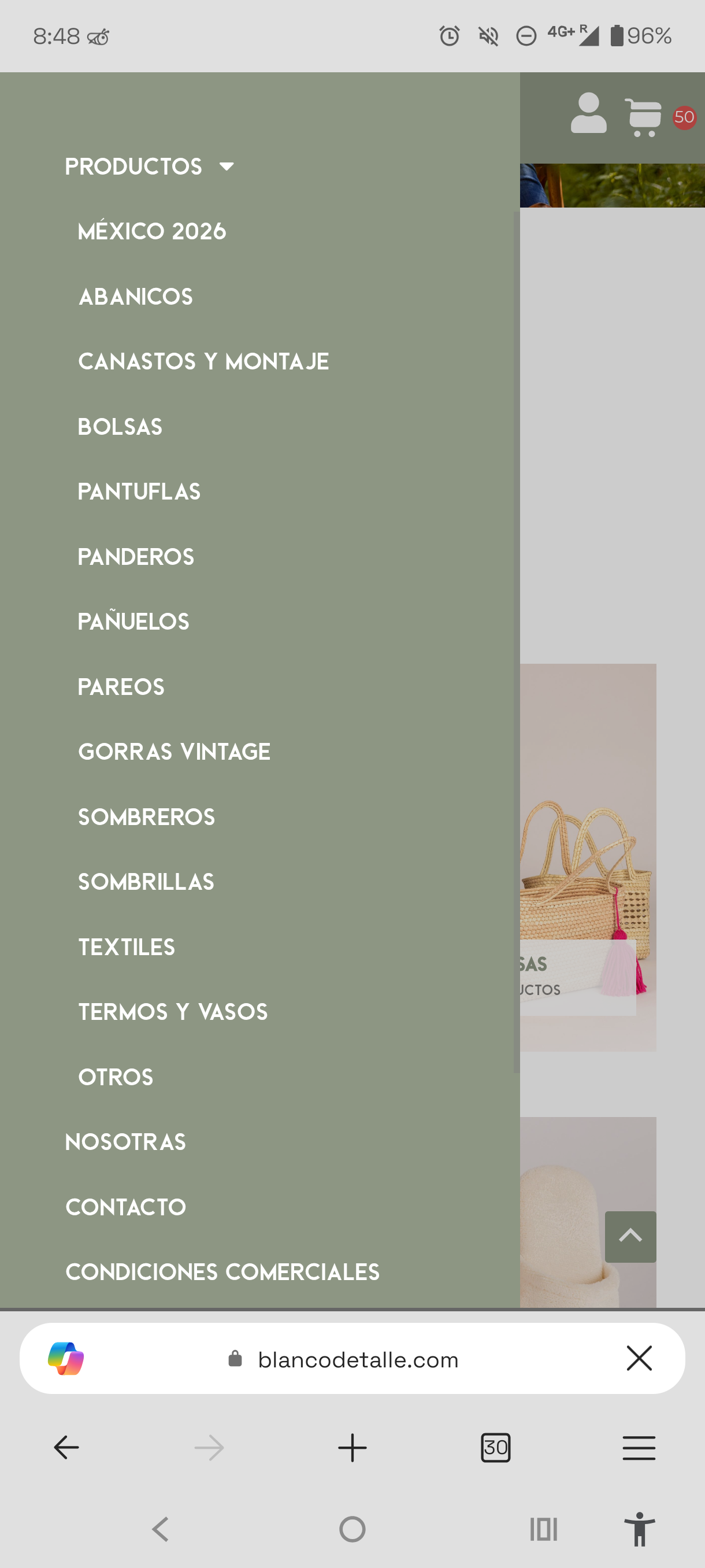 Menú de navegación móvil mostrando el catálogo de 14 categorías de producto