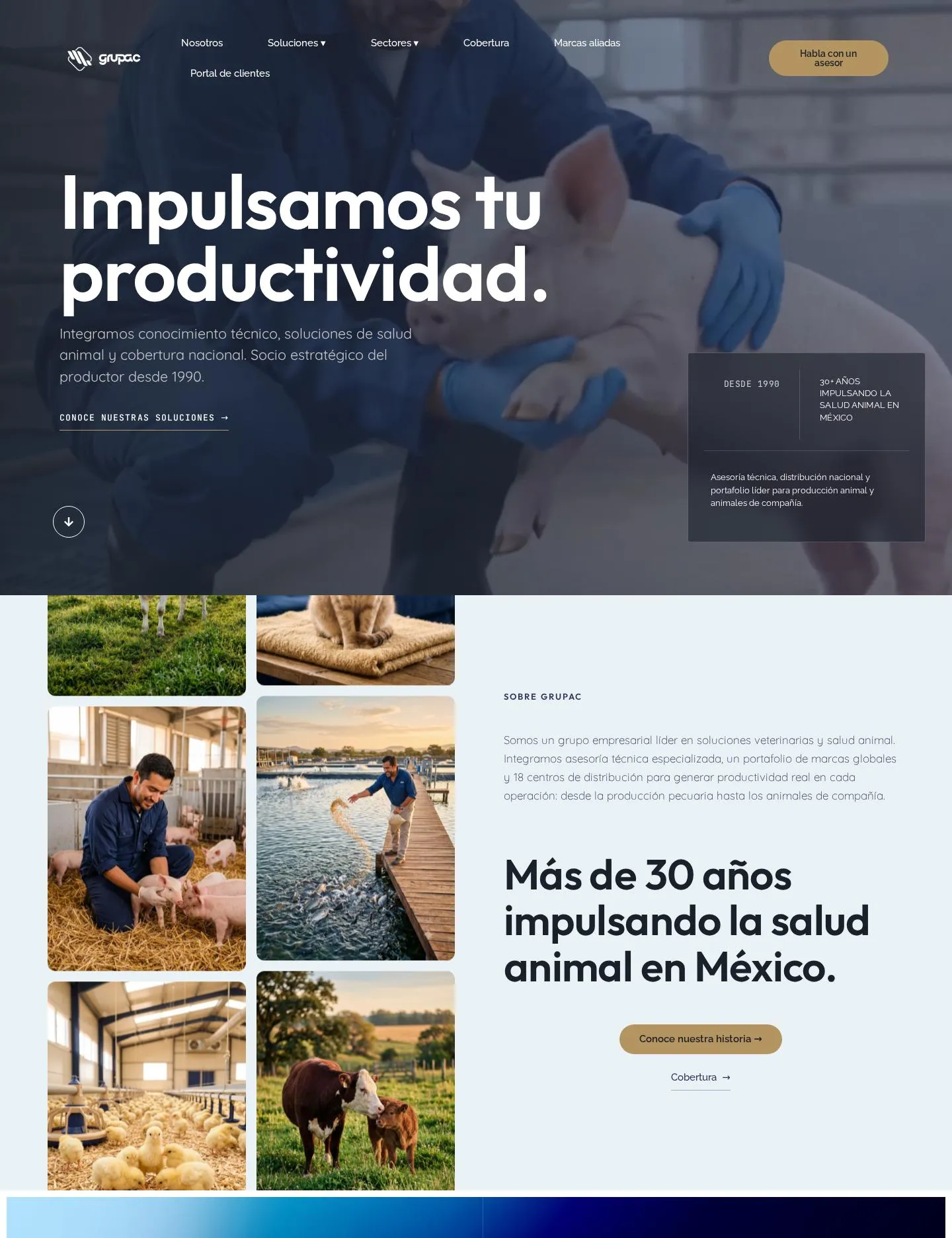 Página de inicio de Grupac: impulsamos tu productividad